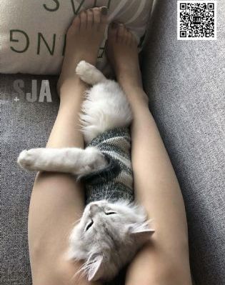 《寒蝉鸣泣之时》动漫_清晰免费影视在线观看