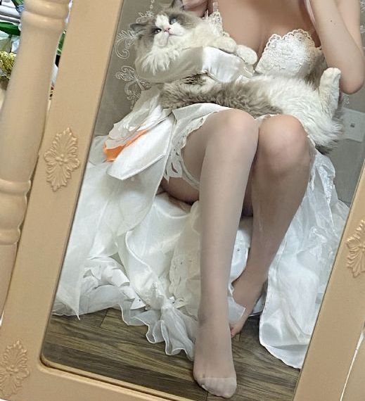 7v影库_BD英语高清在线观看