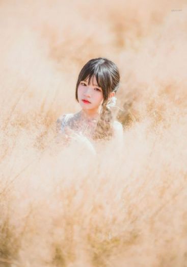 山茶花开时_4K电影全集观看