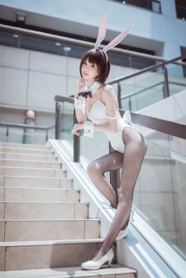 如果历史是一群喵全集免费观看_DVD免费播放